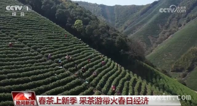 清明时节：全国多地开启春日旅游盛景，清明假期：感受自然之美，邂逅春日惊喜