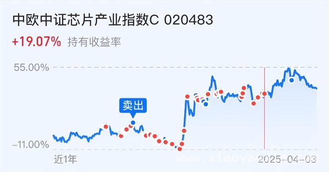 川宝加税引发全球恐慌，各板块投资策略如何调整？，8年坚守，大龙陪你应对股市风云变幻
