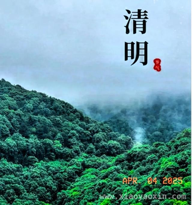 清明，寄思南疆忠魂