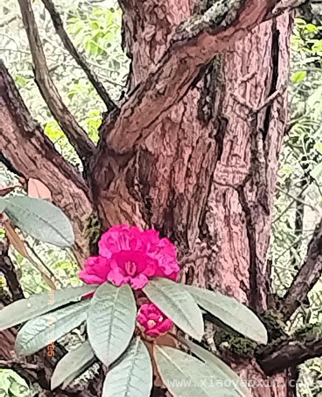 清明，寄思南疆忠魂