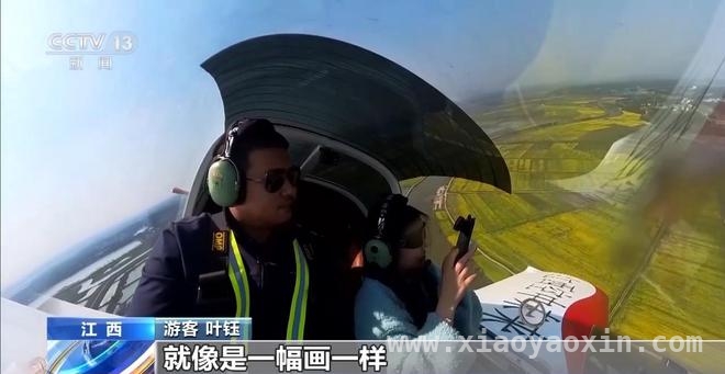 清明出游新风尚：赏花、乡野体验与慢生活