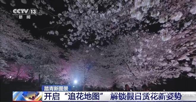 清明出游新风尚：赏花、乡野体验与慢生活