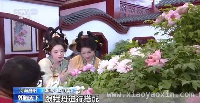 清明出游新风尚：赏花、乡野体验与慢生活
