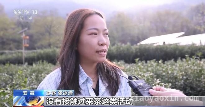 清明出游新风尚：赏花、乡野体验与慢生活