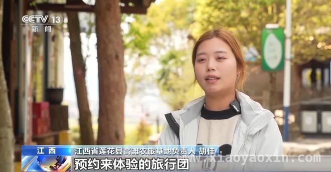 清明出游新风尚：赏花、乡野体验与慢生活