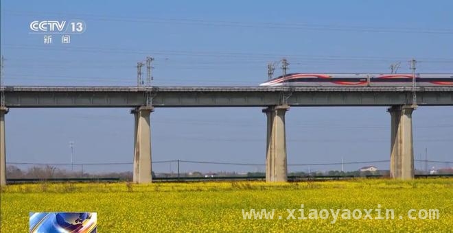 清明出游新风尚：赏花、乡野体验与慢生活