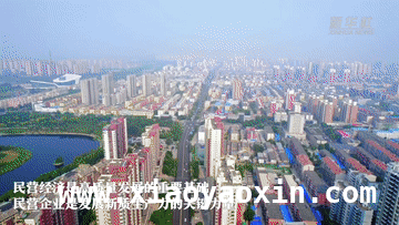 民营力量崛起，为高质量发展注入强劲动能