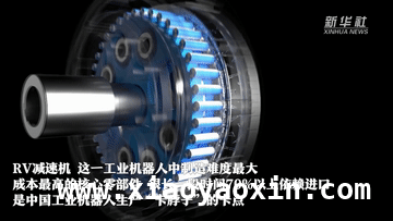 民营力量崛起，为高质量发展注入强劲动能