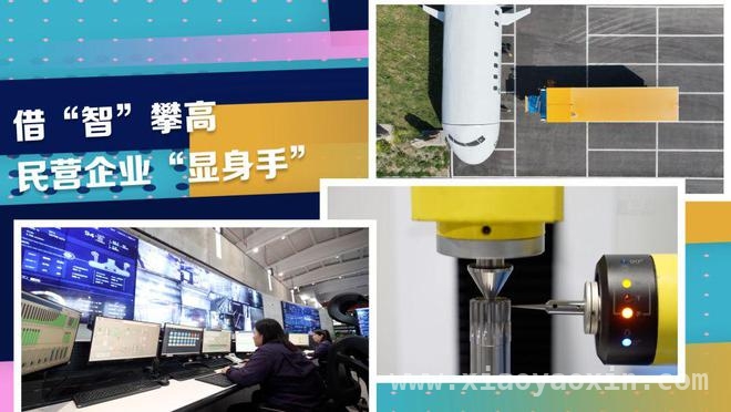 民营力量崛起，为高质量发展注入强劲动能