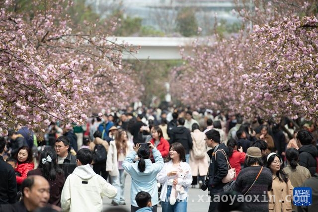3月30日，邂逅中国科学技术大学的樱花之约，3月的中科大，被樱花“点亮”啦