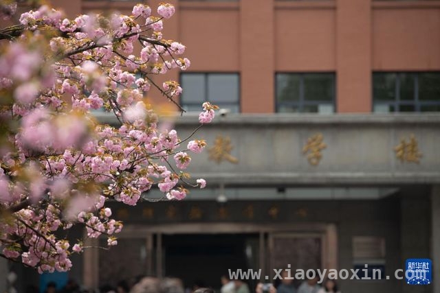 3月30日，邂逅中国科学技术大学的樱花之约，3月的中科大，被樱花“点亮”啦