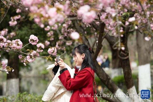 3月30日，邂逅中国科学技术大学的樱花之约，3月的中科大，被樱花“点亮”啦