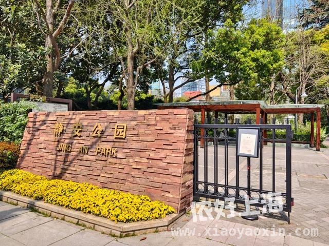 解锁上海八景园，开启慢生活之旅 上海闹市中的静谧之境——八景园免费开放啦