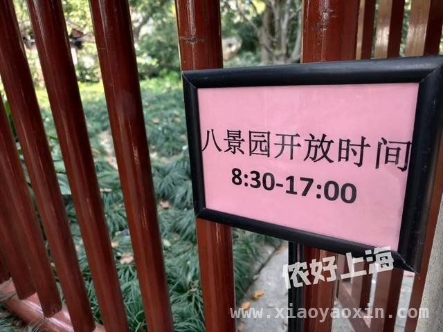解锁上海八景园，开启慢生活之旅 上海闹市中的静谧之境——八景园免费开放啦
