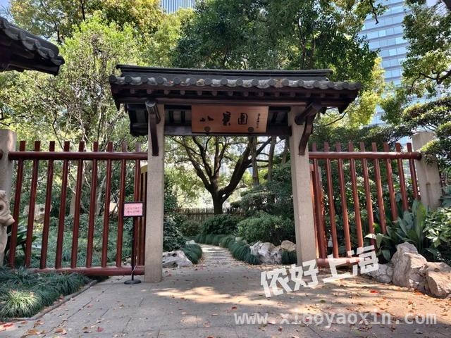 解锁上海八景园，开启慢生活之旅 上海闹市中的静谧之境——八景园免费开放啦