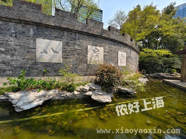 解锁上海八景园，开启慢生活之旅 上海闹市中的静谧之境——八景园免费开放啦