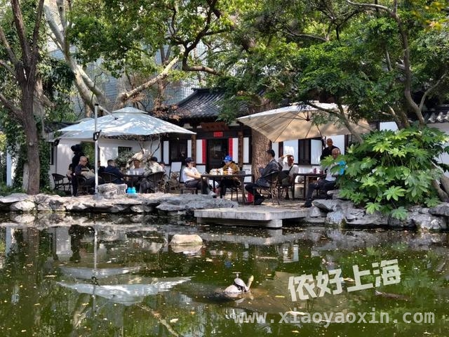 解锁上海八景园，开启慢生活之旅 上海闹市中的静谧之境——八景园免费开放啦