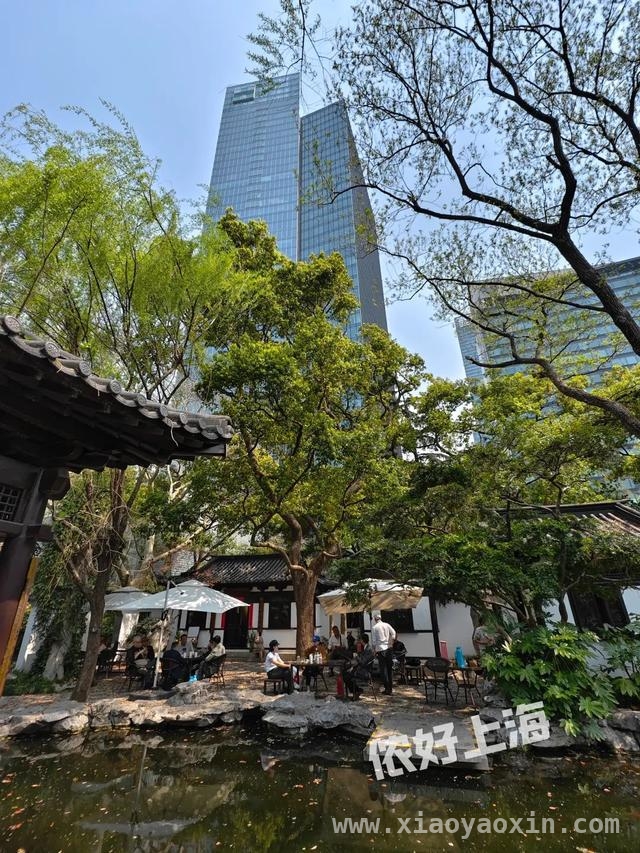 解锁上海八景园，开启慢生活之旅 上海闹市中的静谧之境——八景园免费开放啦