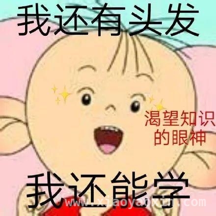 解锁上海八景园，开启慢生活之旅 上海闹市中的静谧之境——八景园免费开放啦