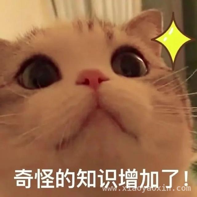 解锁上海八景园，开启慢生活之旅 上海闹市中的静谧之境——八景园免费开放啦