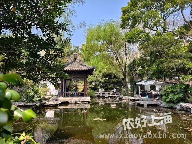 解锁上海八景园，开启慢生活之旅 上海闹市中的静谧之境——八景园免费开放啦