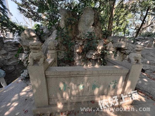 解锁上海八景园，开启慢生活之旅 上海闹市中的静谧之境——八景园免费开放啦