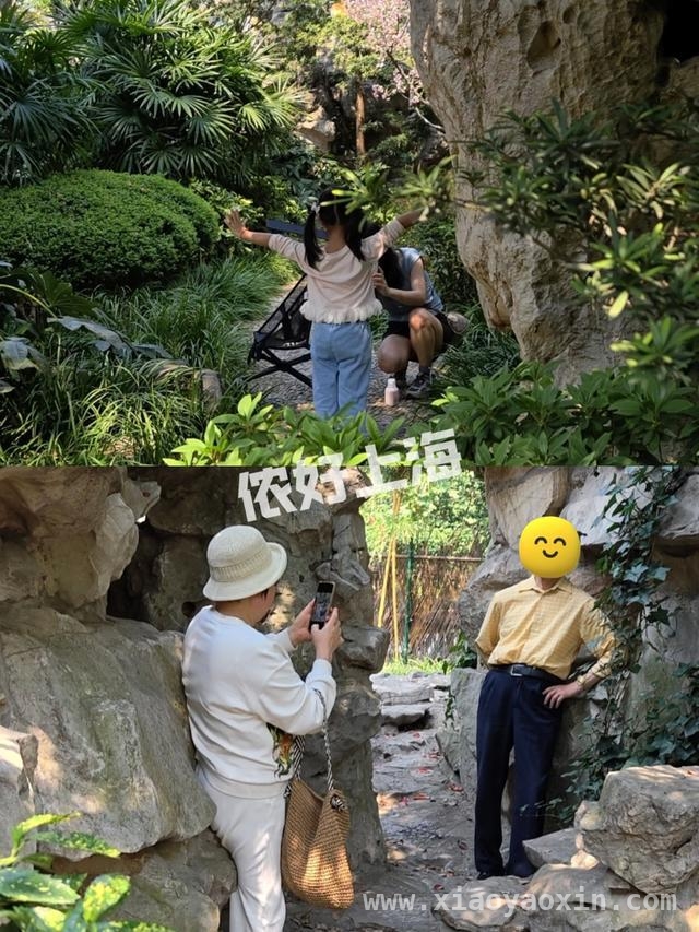 解锁上海八景园，开启慢生活之旅 上海闹市中的静谧之境——八景园免费开放啦