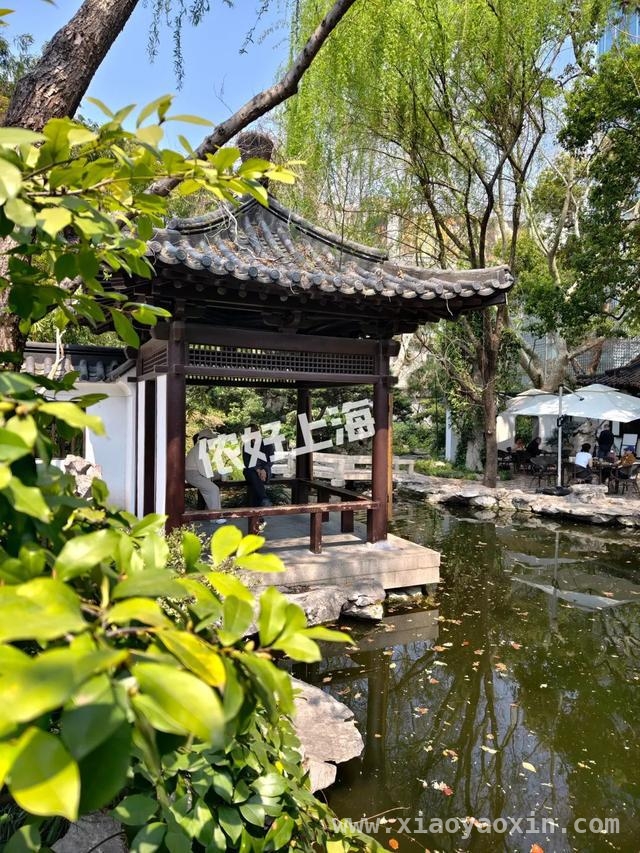 解锁上海八景园，开启慢生活之旅 上海闹市中的静谧之境——八景园免费开放啦