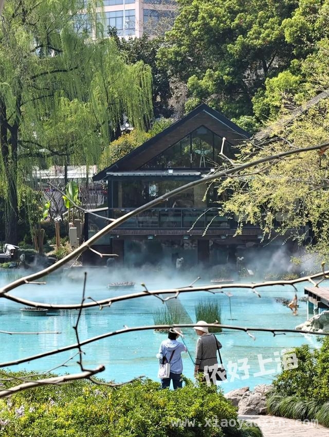解锁上海八景园，开启慢生活之旅 上海闹市中的静谧之境——八景园免费开放啦