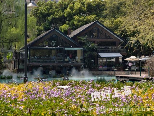 解锁上海八景园，开启慢生活之旅 上海闹市中的静谧之境——八景园免费开放啦