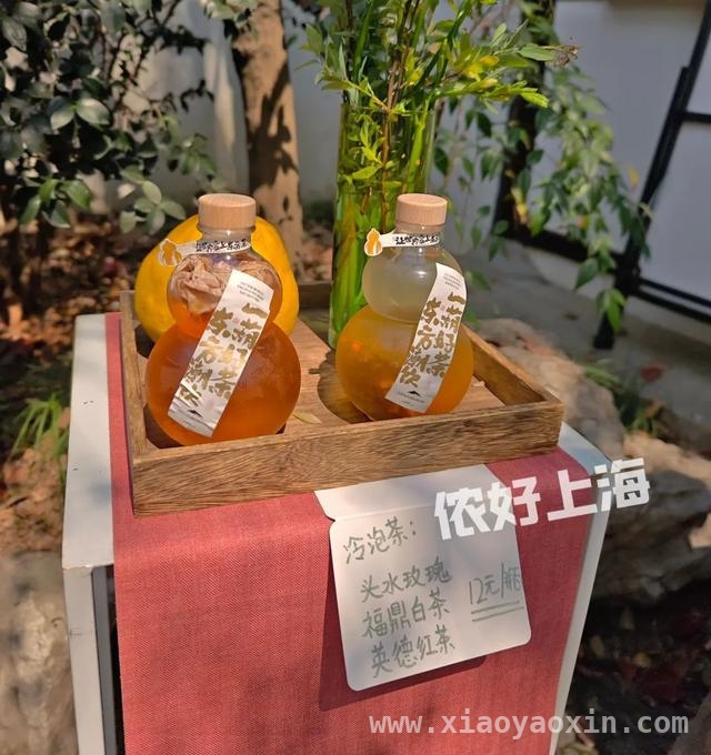 解锁上海八景园，开启慢生活之旅 上海闹市中的静谧之境——八景园免费开放啦