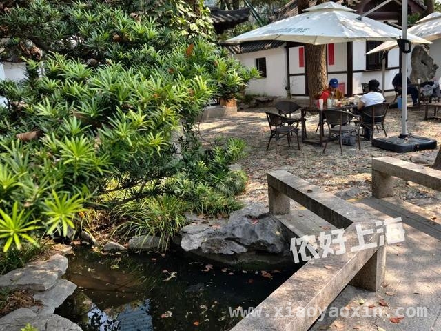 解锁上海八景园，开启慢生活之旅 上海闹市中的静谧之境——八景园免费开放啦