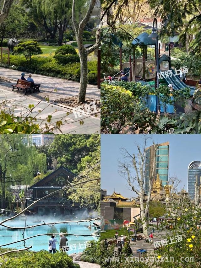 解锁上海八景园，开启慢生活之旅 上海闹市中的静谧之境——八景园免费开放啦
