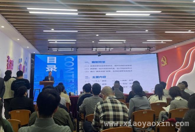 “六个一”政策落地，南山区企业发展焕新机
