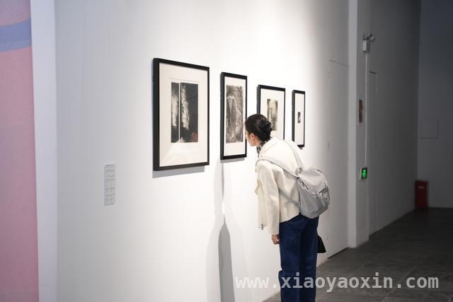 “东西汇梦”：中意版画碰撞出文化火花，虹口见证：中意艺术家以版画续写交流传奇