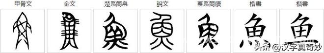 探秘“魚中魚”：鲜为人知的汉字奥秘 寻找“魚中魚”的地域密码，你能解开吗？