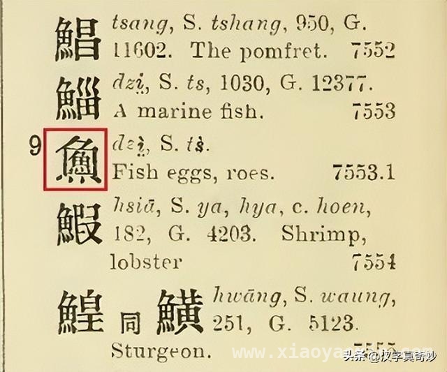 探秘“魚中魚”：鲜为人知的汉字奥秘 寻找“魚中魚”的地域密码，你能解开吗？