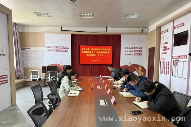 崇明区深化法治观察成果，营造优质营商环境