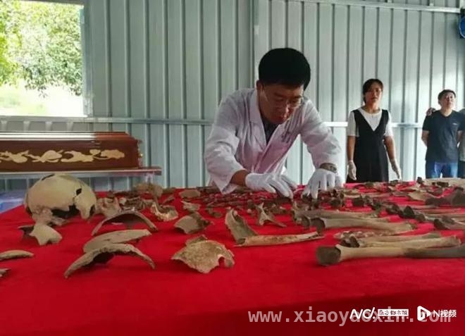 清明时节，探寻李法军教授背后的红军烈士鉴定故事