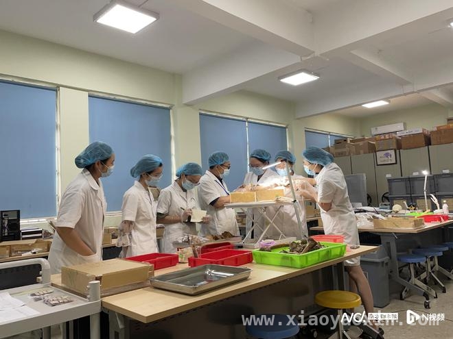 清明时节，探寻李法军教授背后的红军烈士鉴定故事