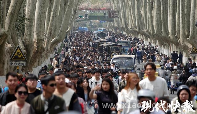 清明假期首日：南京旅游市场热度高涨，外地游客成主力，清明第一天南京旅游“吸睛”，多景区游客如织