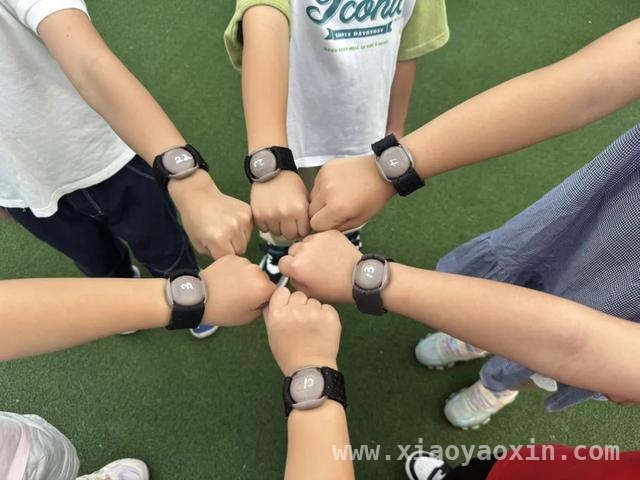 翔殷幼稚园：以数字化手段精准提升幼儿体质，“数字运动处方”，让翔殷幼稚园幼儿健康成长
