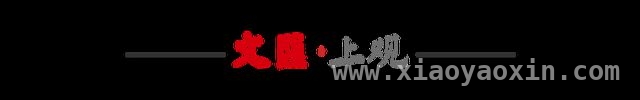 〈凸变英雄X〉开播点映，全新超英设定引期待，从“信赖值”出发，〈凸变英雄X〉打造别样超英宇宙