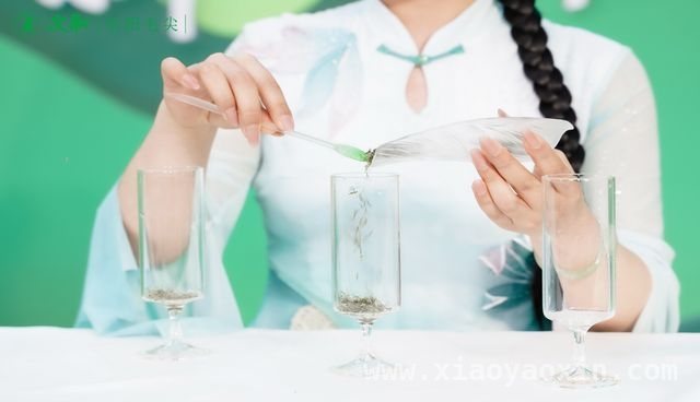 品文新春茶，感受非遗魅力，正弘城春茶节燃爆现场！