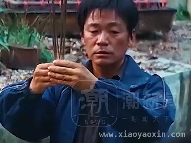 浙江青田金伯祭祖呛烟，意外查出晚期肺癌！，祭祖时一口烟，让青田金伯揪出“沉默杀手”肺癌