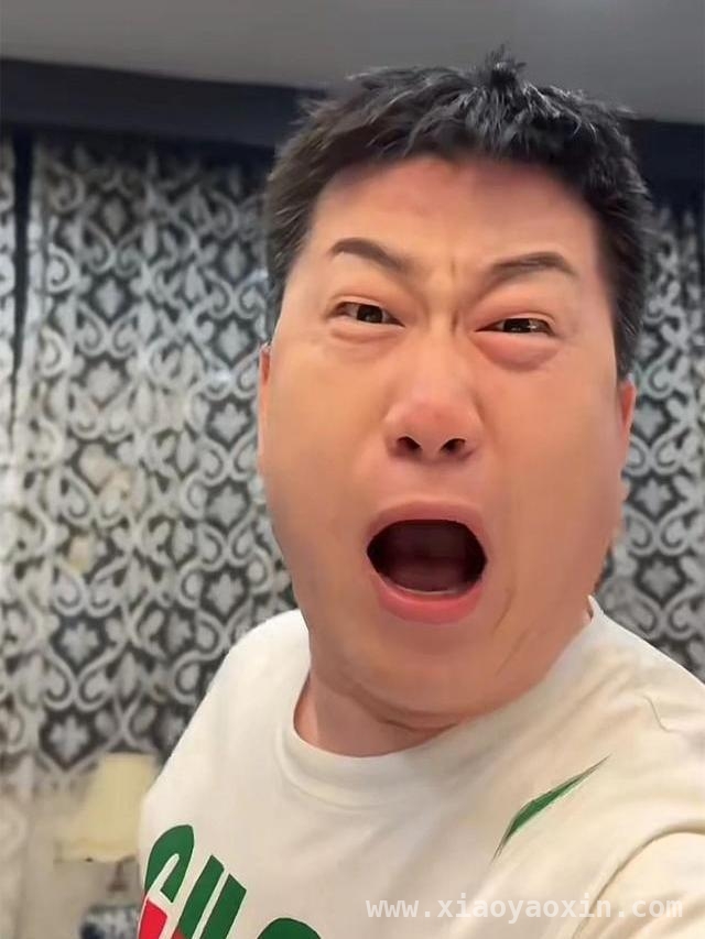 德云社：“黄金十年”后何去何从？，从辉煌到困境：德云社的兴衰沉浮