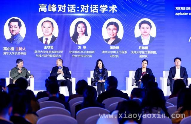 2025中关村论坛：脑机接口产业发展潜力无限，脑机接口：从科研前沿到临床应用的新跨越