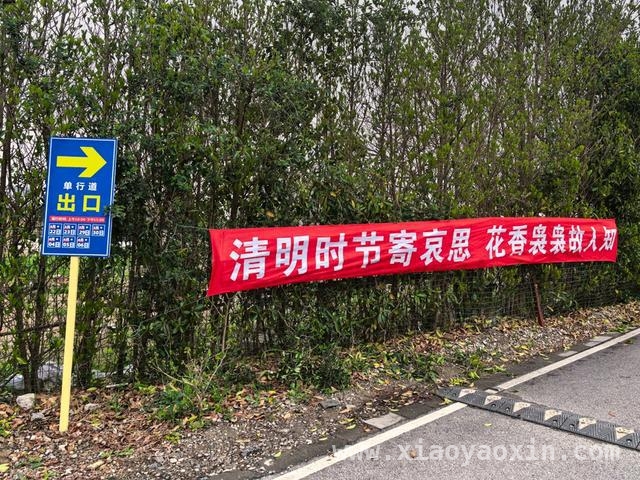 漕泾镇清明祭扫：多举措保障安全与文明，漕泾镇清明：联防联控，传承缅怀先辈精神
