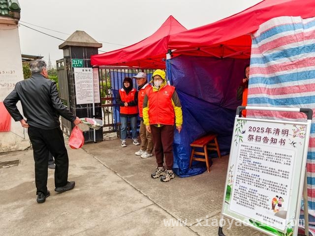 漕泾镇清明祭扫：多举措保障安全与文明，漕泾镇清明：联防联控，传承缅怀先辈精神