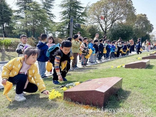 漕泾镇清明祭扫：多举措保障安全与文明，漕泾镇清明：联防联控，传承缅怀先辈精神